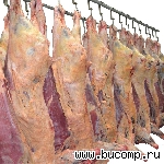 Мясо говядина, свинина, цыпленка бройлера собствен